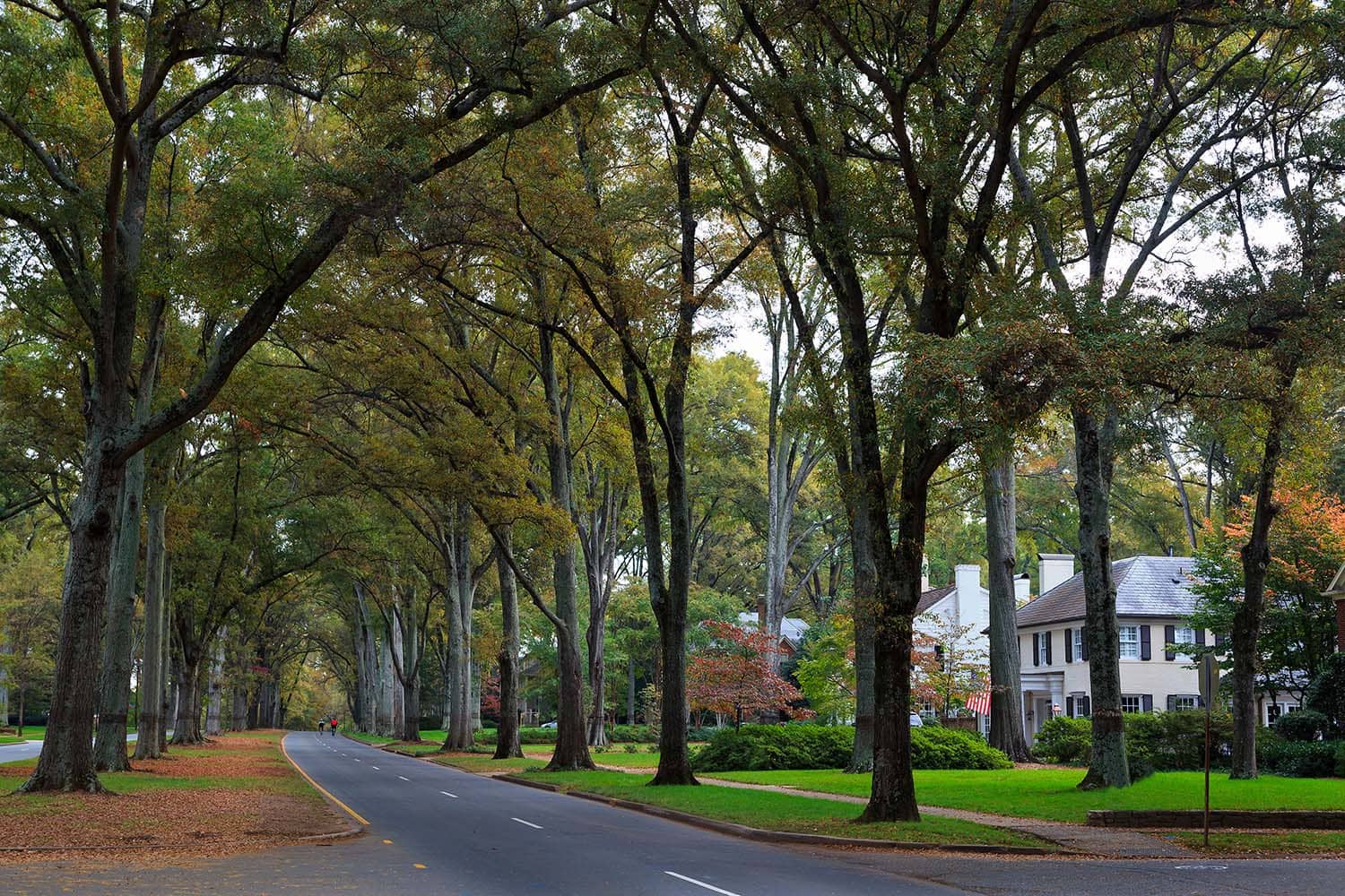 Best Charlotte Neighborhoods - Myers Park